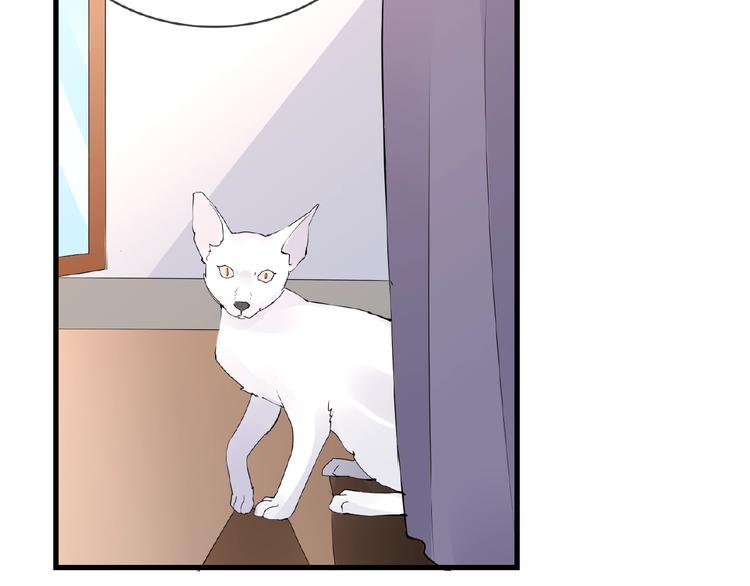 第42话 猫妖4