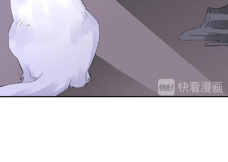 第43话 猫妖的执念46