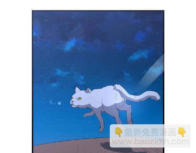 第42话 猫妖50