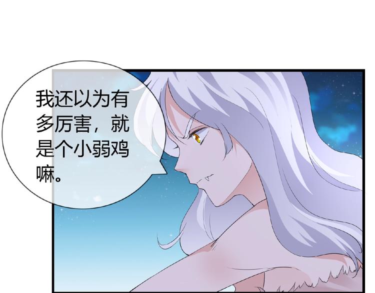 第43话 猫妖的执念4