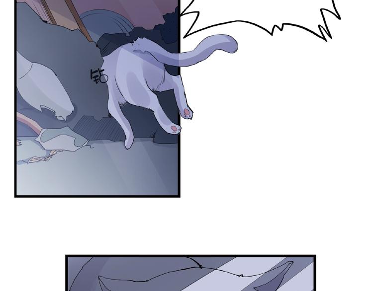 第43话 猫妖的执念34