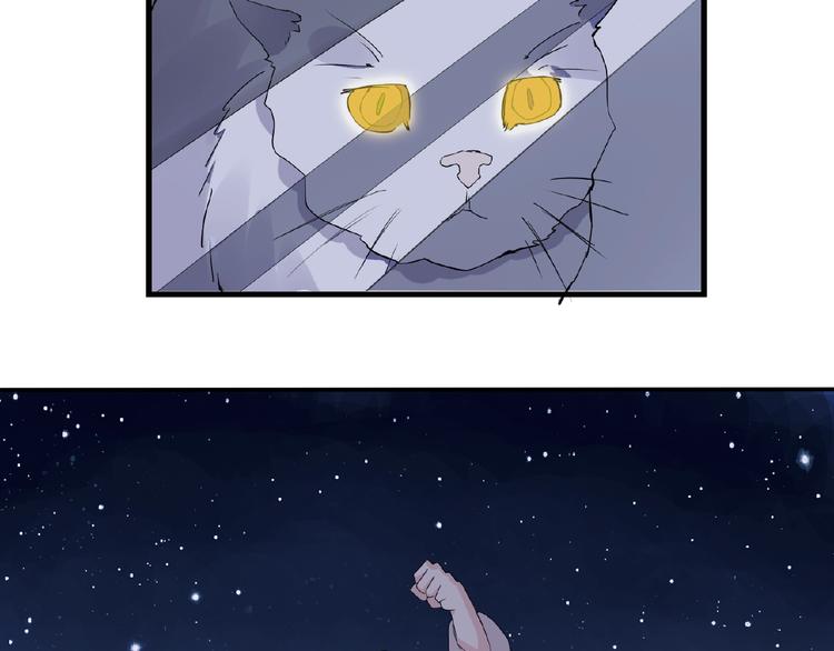 第43话 猫妖的执念35