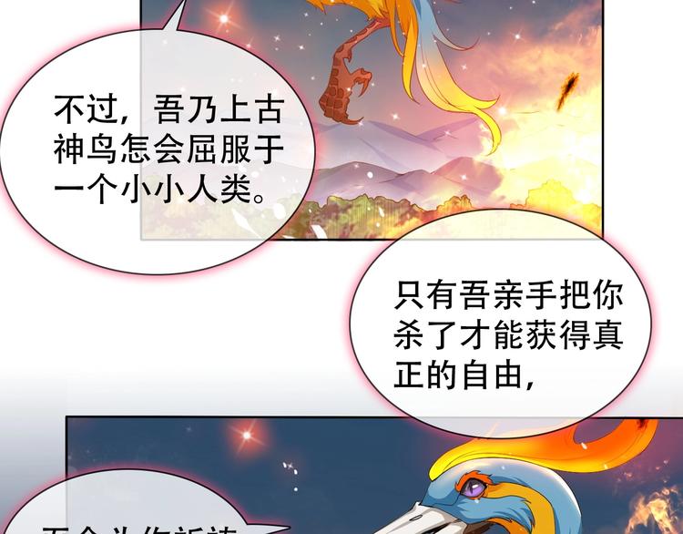 第9话 神鸟现世！19