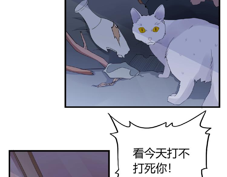 第43话 猫妖的执念33