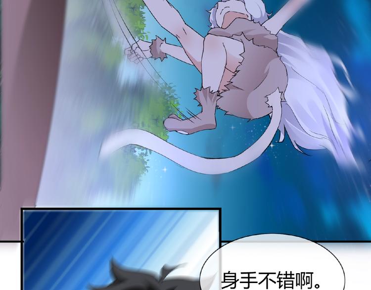 第43话 猫妖的执念17