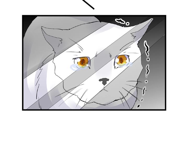 第43话 猫妖的执念43