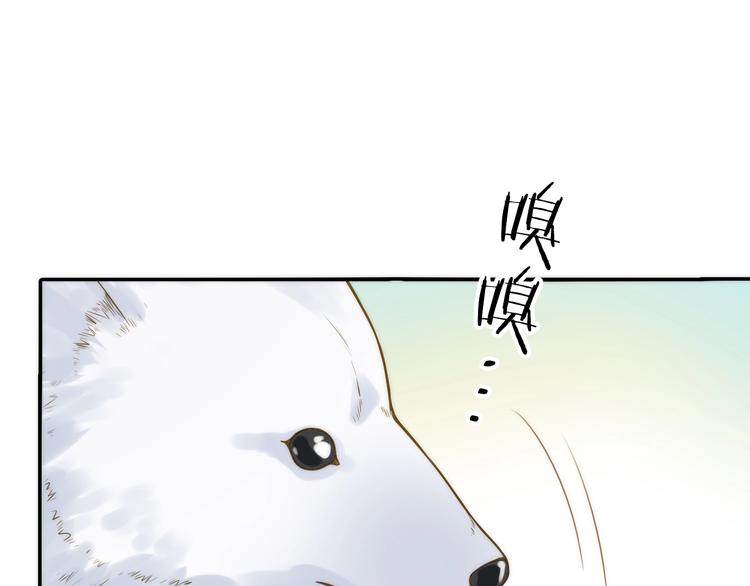 第43话 救出公主大作战11