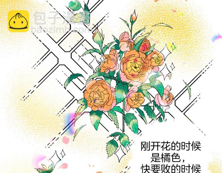 第19话 花匠 心匠19