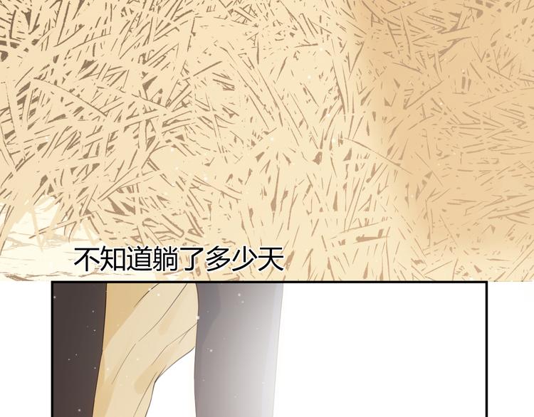 第46话 商队33