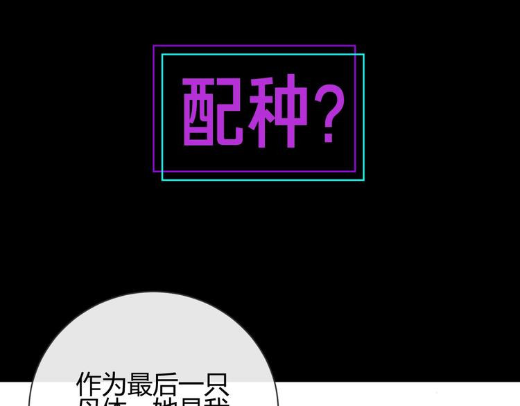 爆点预告！王子和哑女生死不明！9
