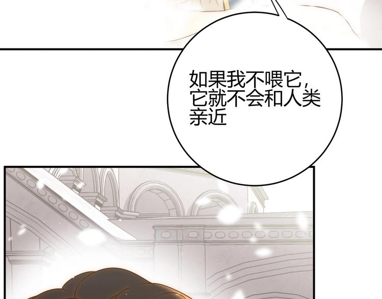 第28话  羁绊37