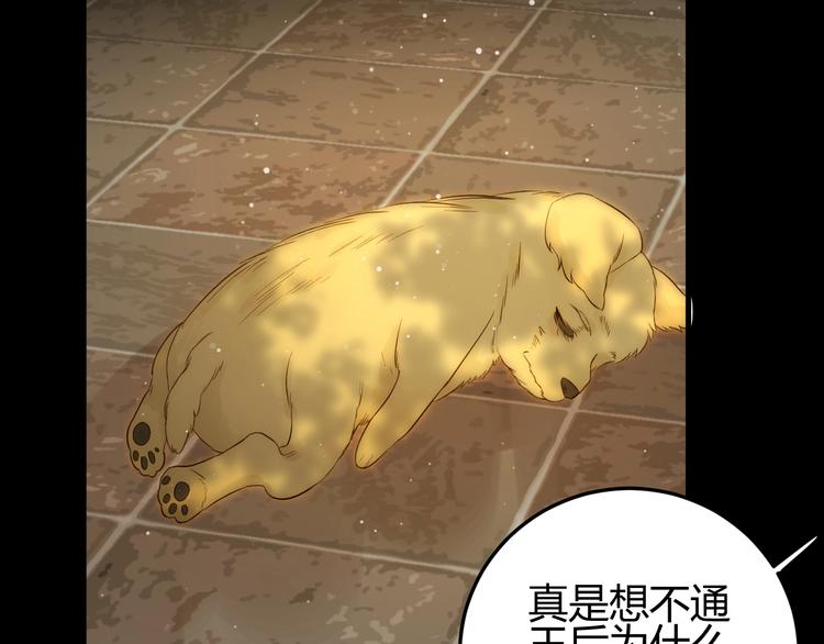 第35话  奥朗则布的过去38