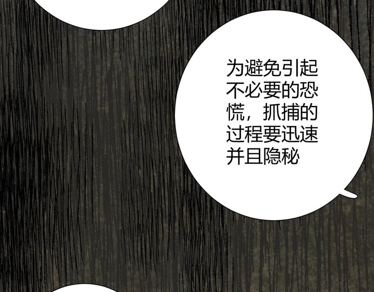 第11话  我的女人212