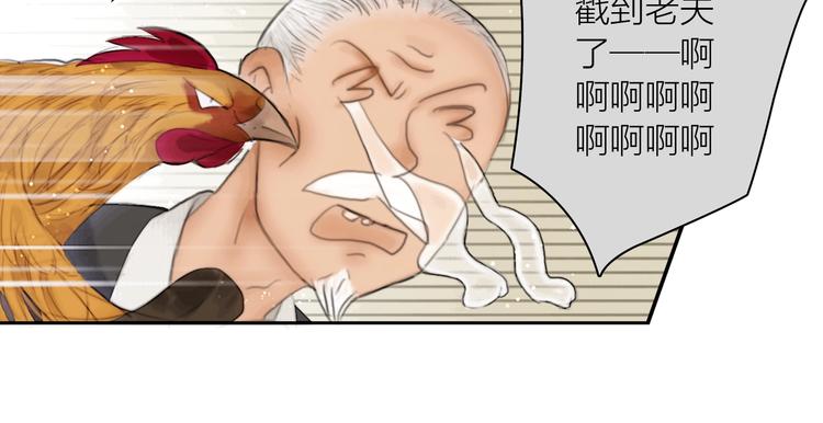 第3话 各种鸡飞狗跳29