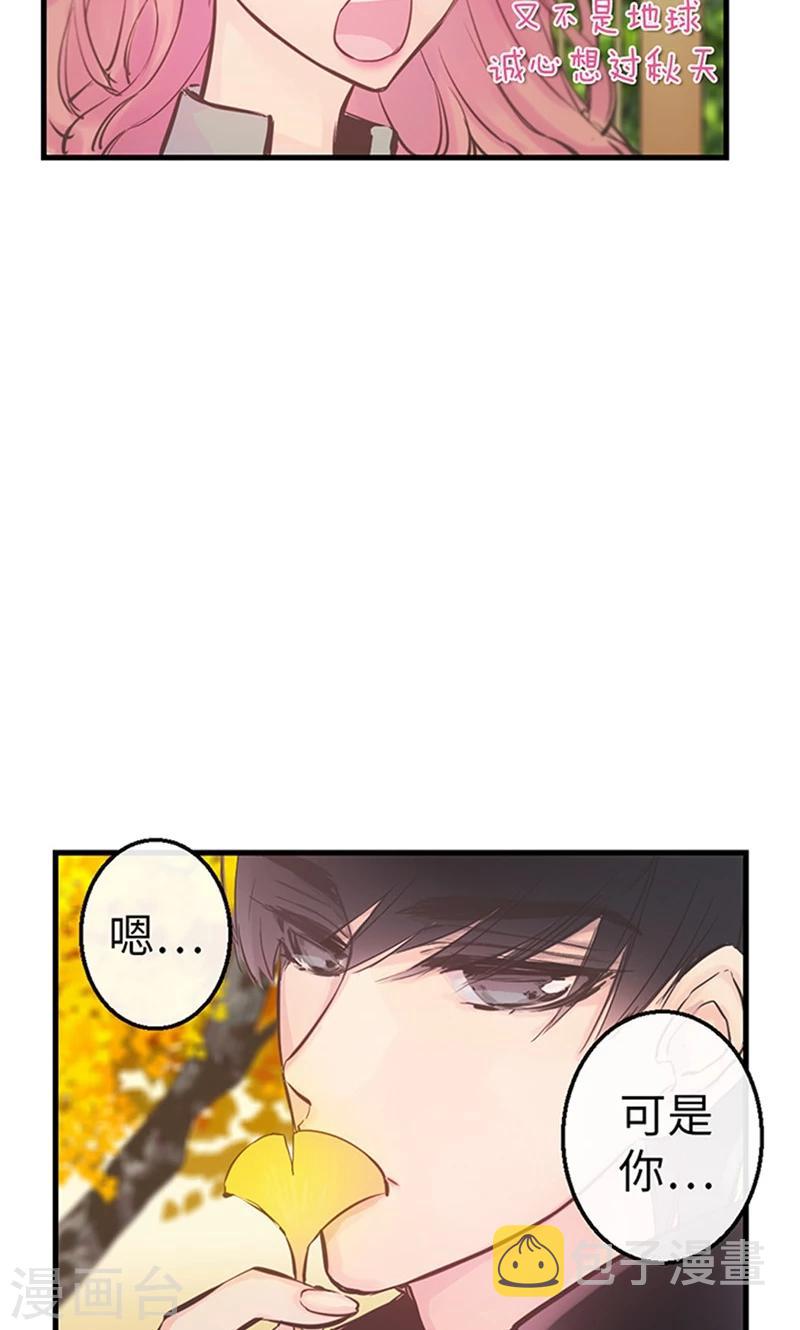 第47话 是魔法还是幻象6