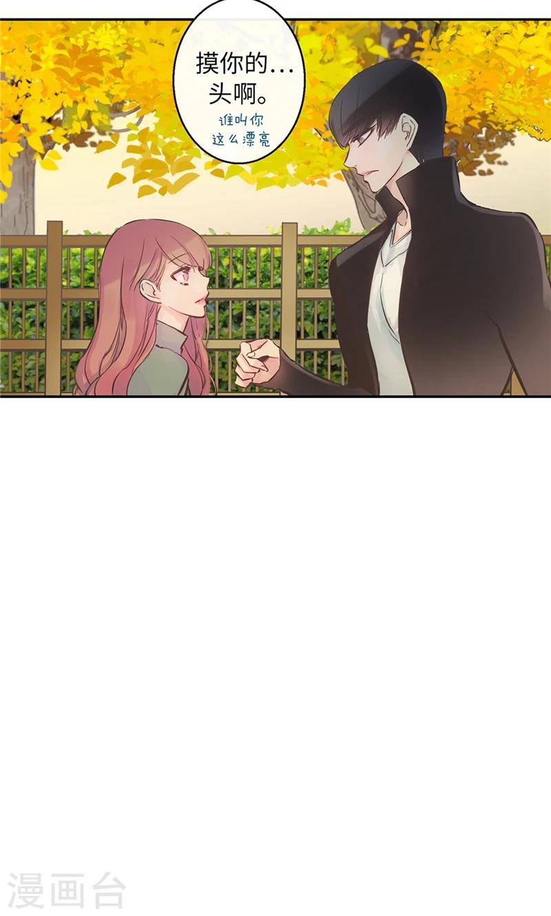 第47话 是魔法还是幻象24