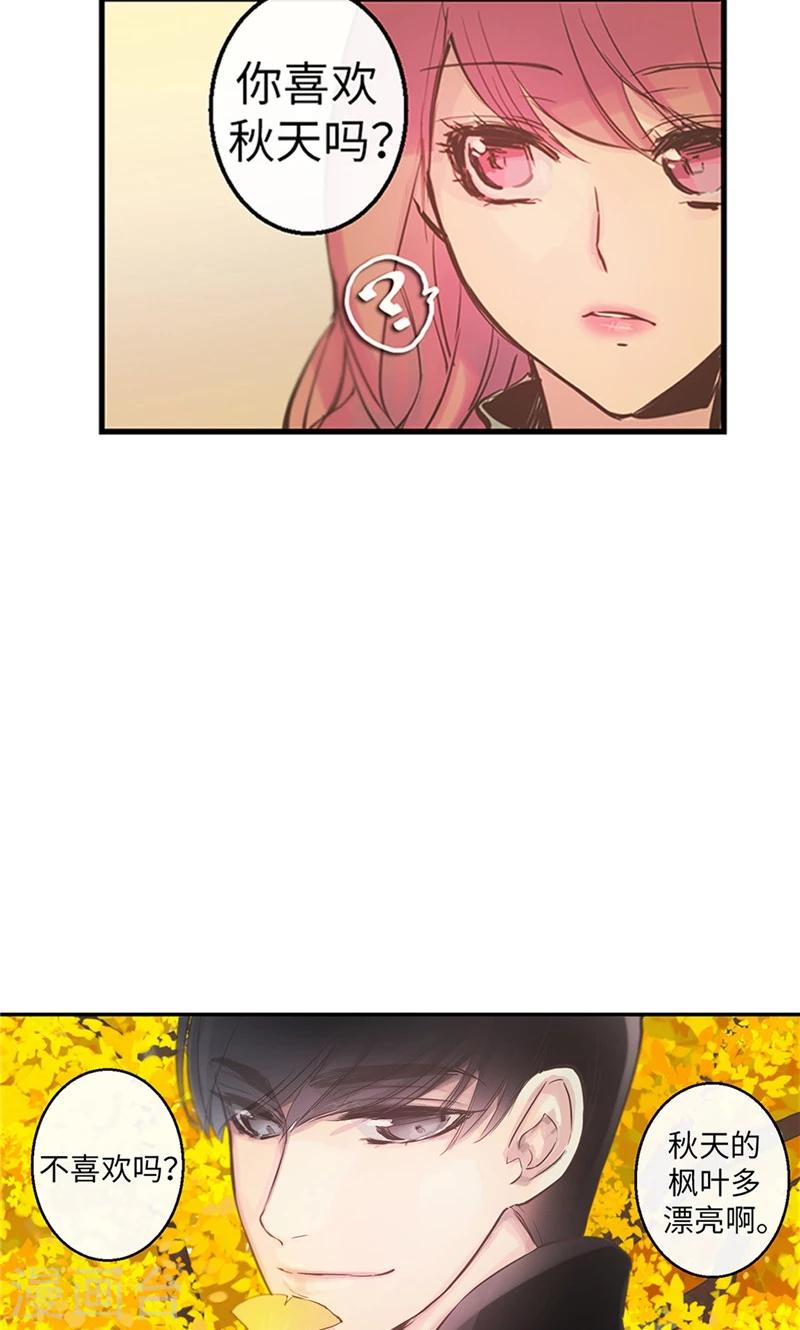 第47话 是魔法还是幻象3