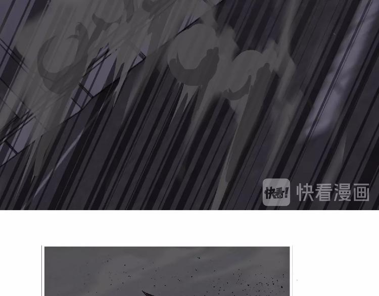第41话 菲瑞24