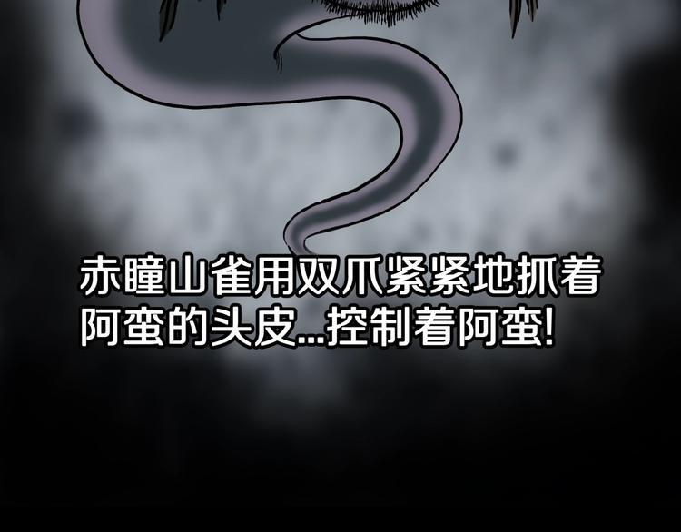 第38话  赤瞳山雀事件（3）49