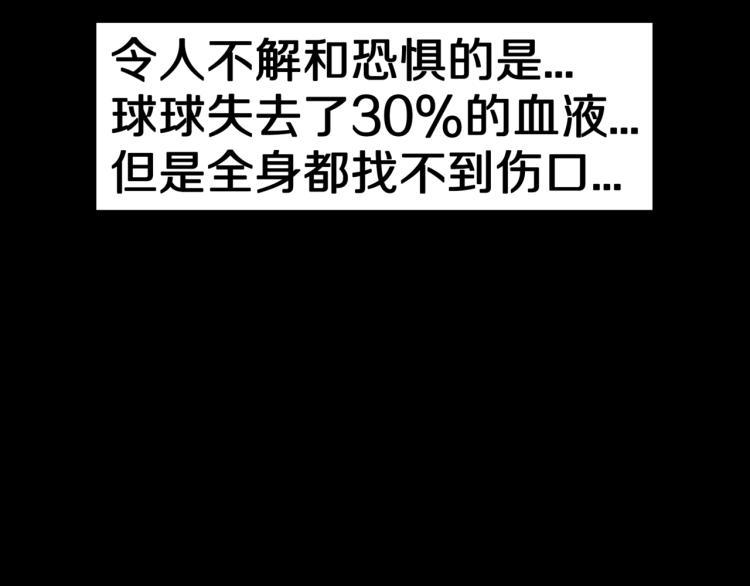 第43话  中古毛衣85