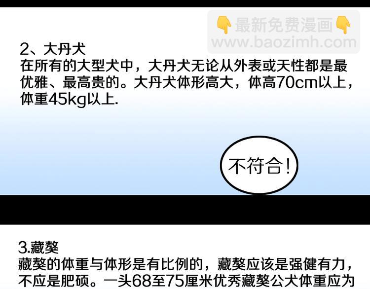 第13话 网吧怪人和预言之书！19