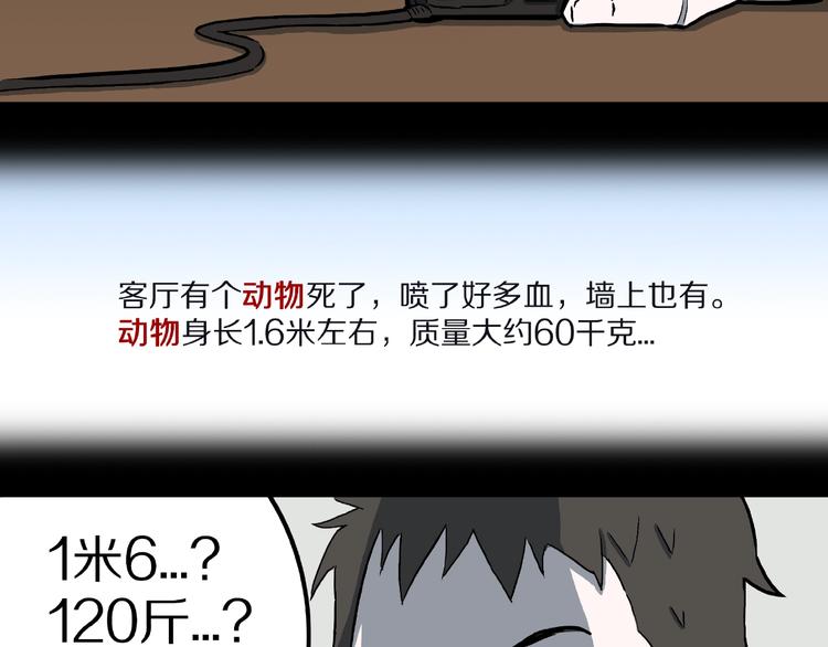 第13话 网吧怪人和预言之书！14