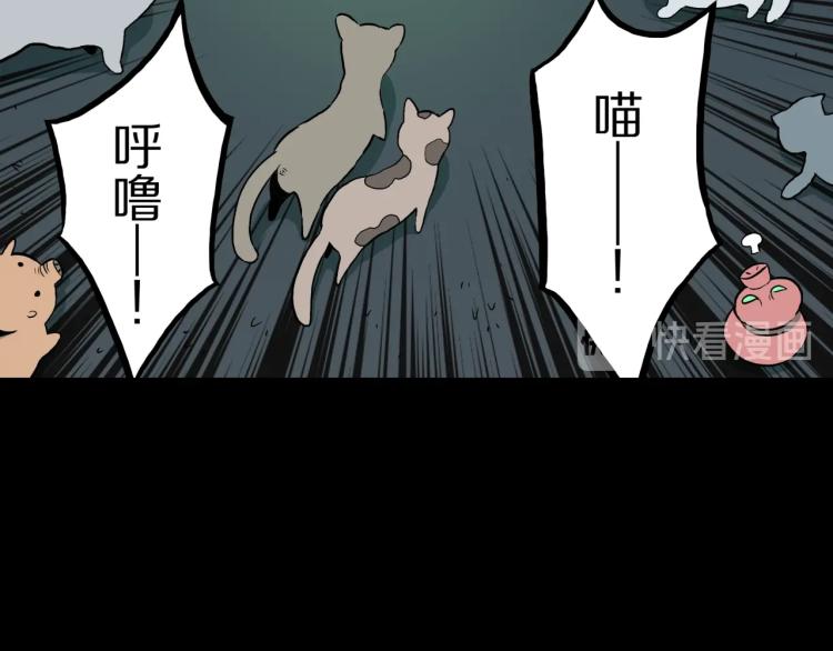 第39话  赤瞳山雀事件（完）11