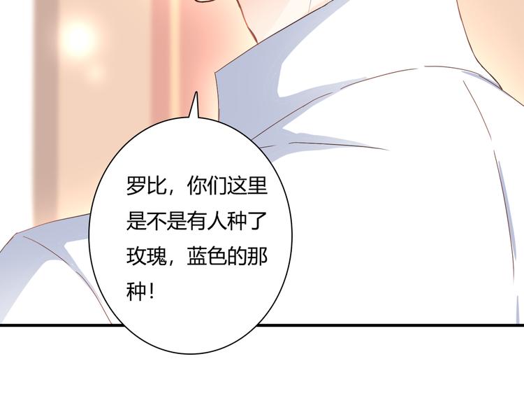 第41话 他的玫瑰88