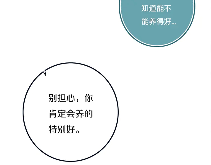 第49话 狗狗62