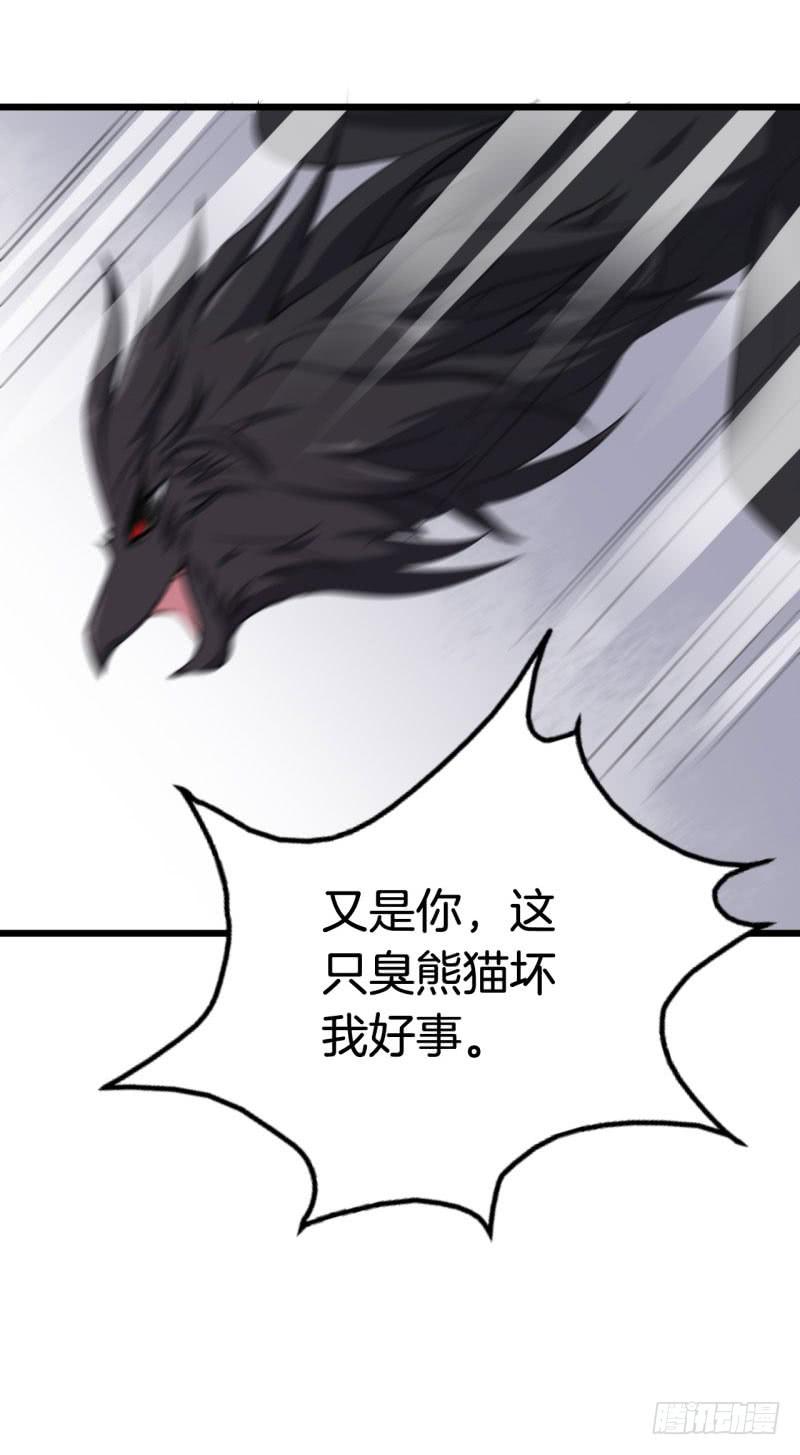 039黑眼圈不是坏妖怪（七）45
