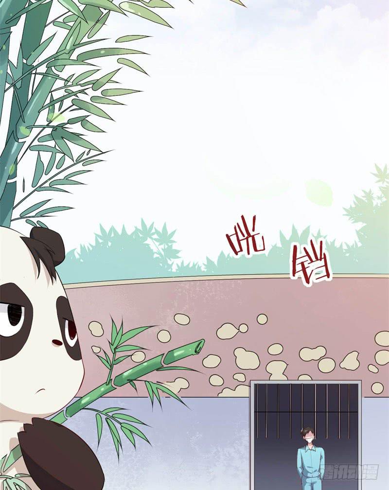 041黑眼圈不是坏妖怪（九）14