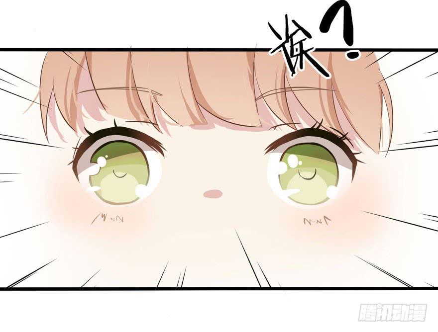 002 茕茕白兔30