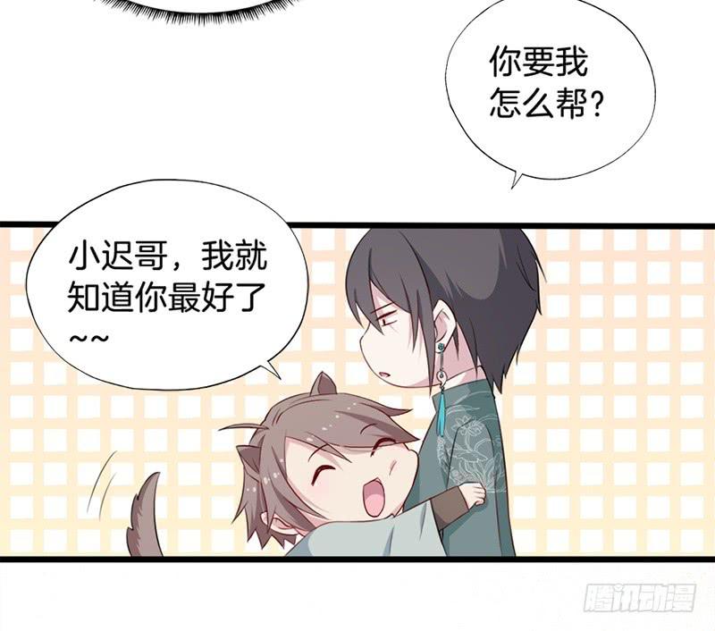 019白茕的愿望10