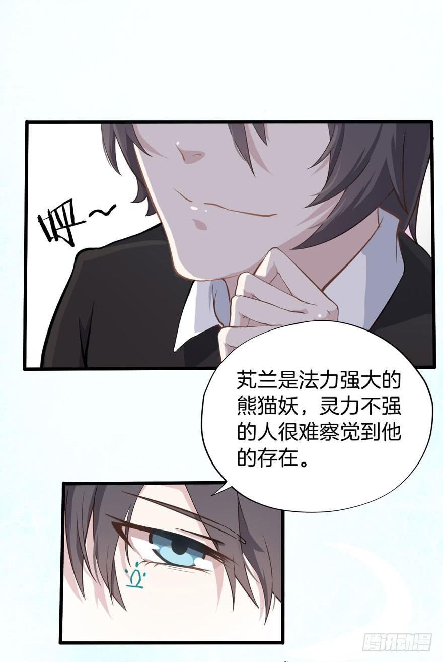 002 茕茕白兔37