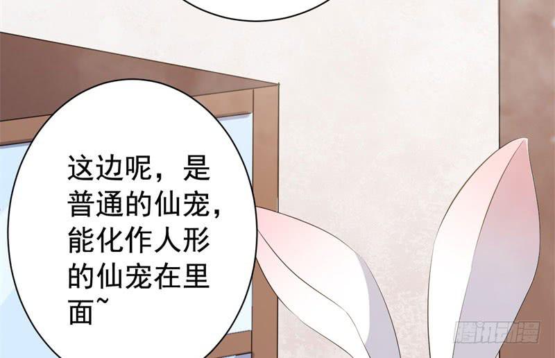 071仙宠12