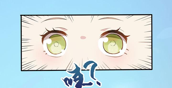 004电梯公寓里的龙宫仙境（二）8