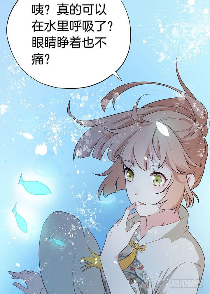 004电梯公寓里的龙宫仙境（二）14