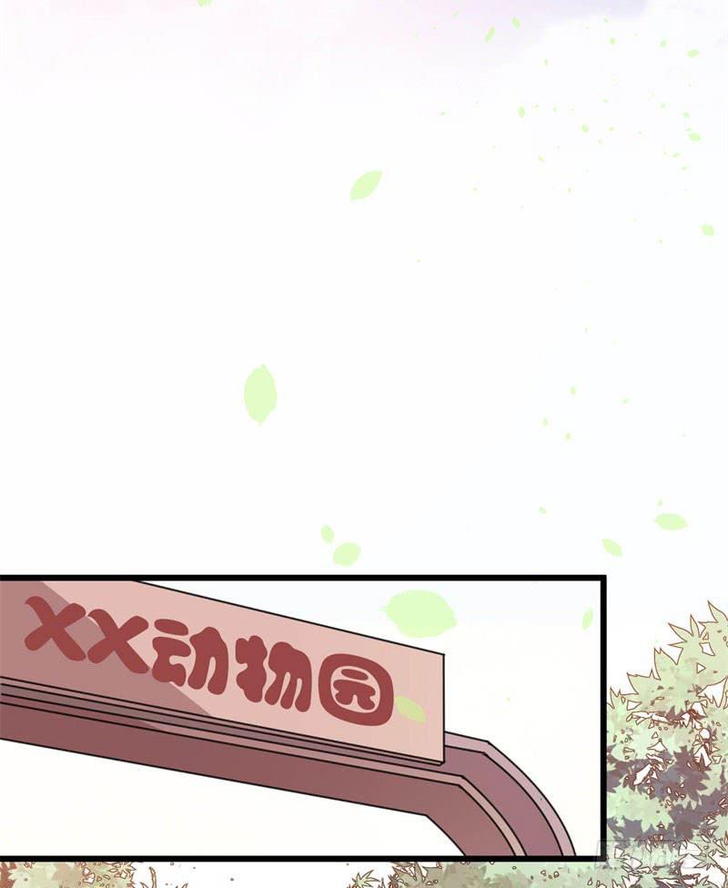 041黑眼圈不是坏妖怪（九）6