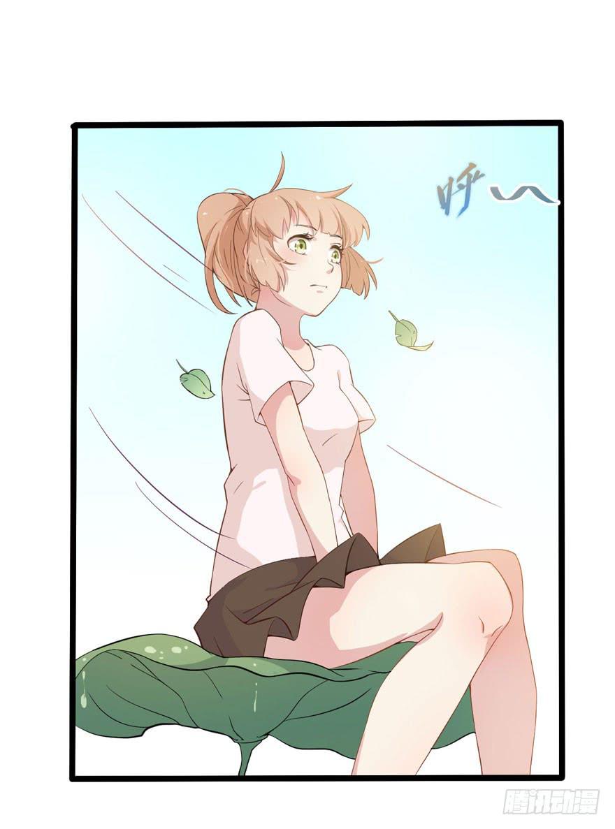 002 茕茕白兔43