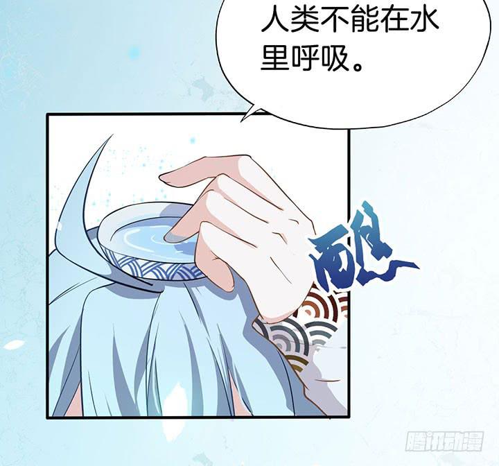 004电梯公寓里的龙宫仙境（二）3
