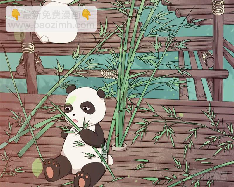 041黑眼圈不是坏妖怪（九）8