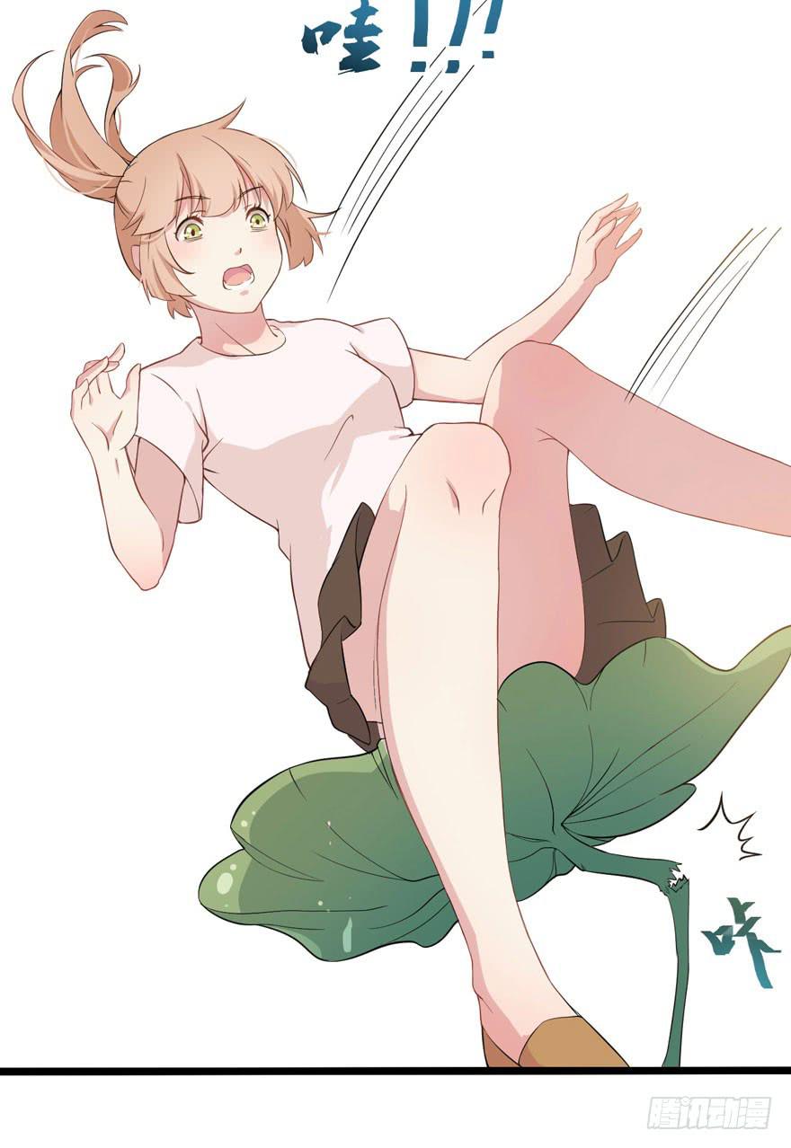 002 茕茕白兔45