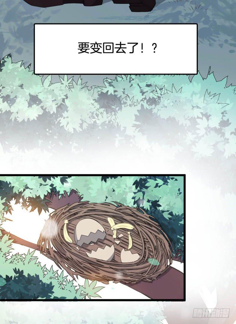 042黑眼圈不是坏妖怪（十）24