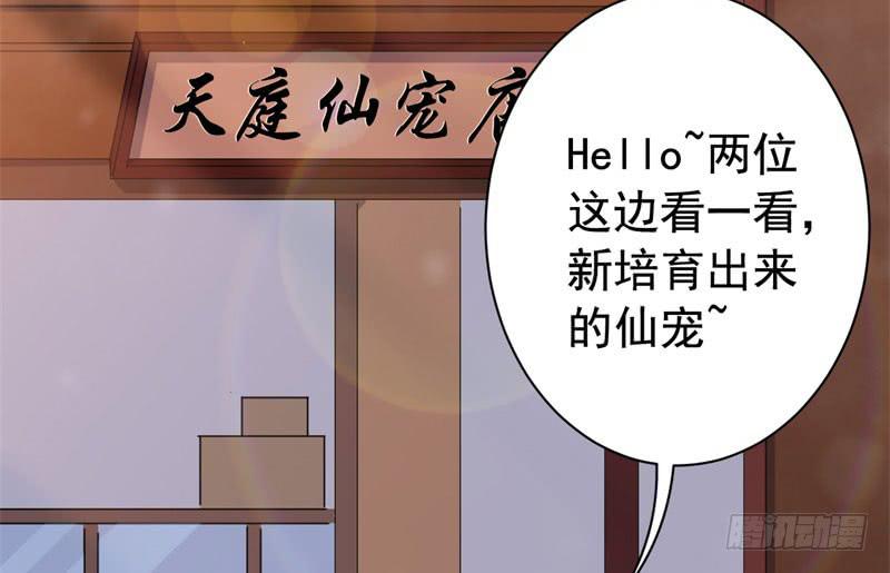 071仙宠4
