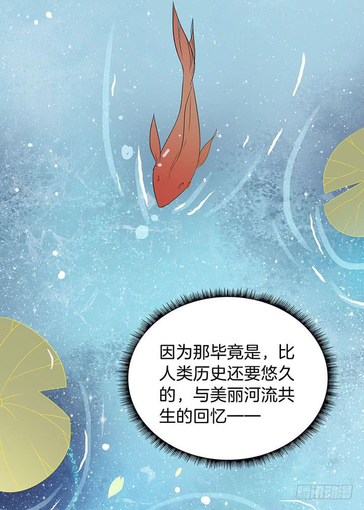 004电梯公寓里的龙宫仙境（二）62