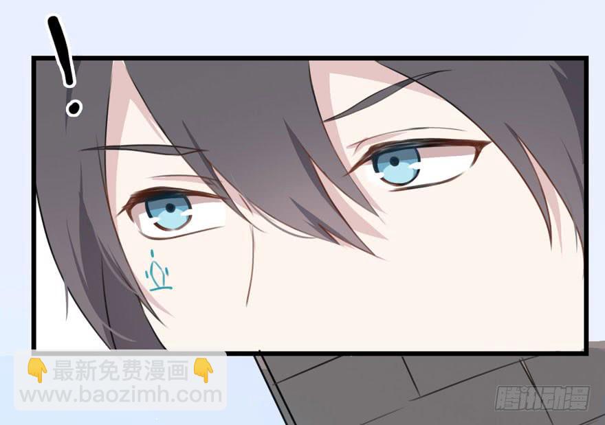 002 茕茕白兔11