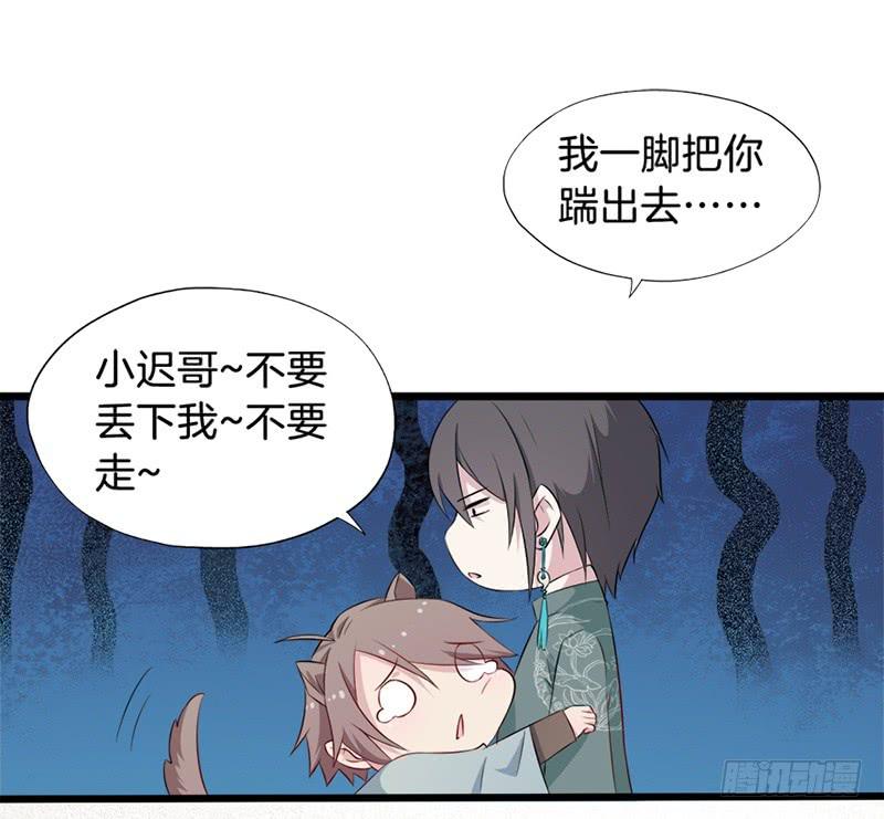 019白茕的愿望1