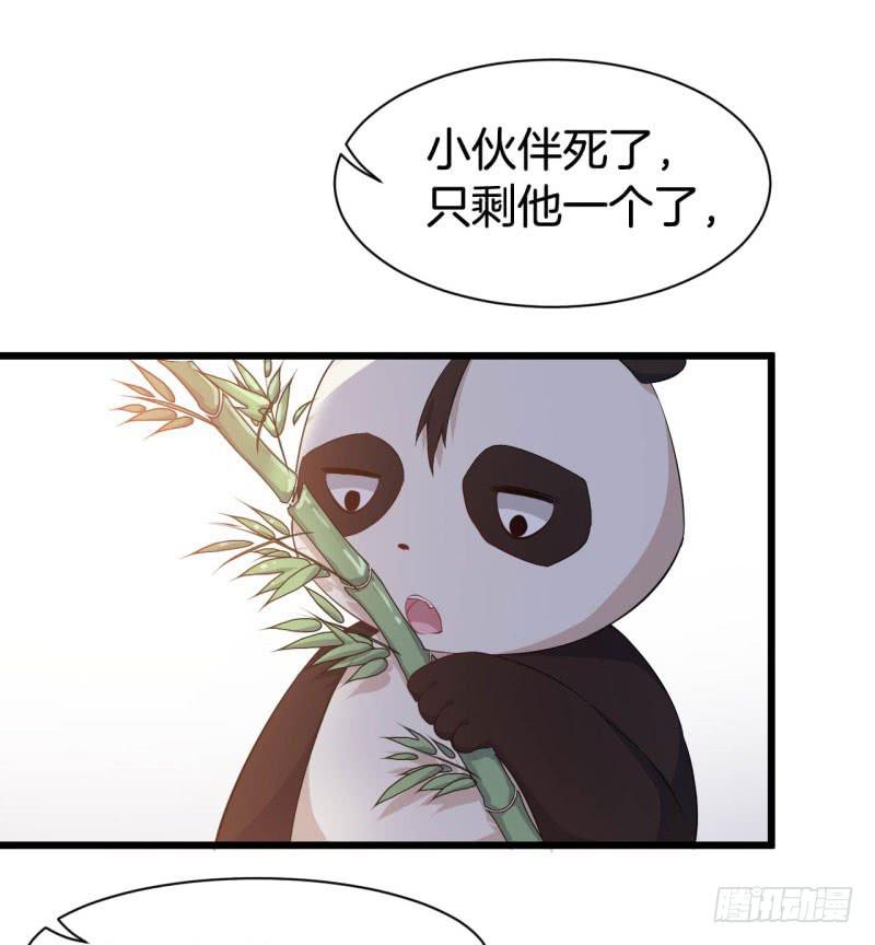 041黑眼圈不是坏妖怪（九）50