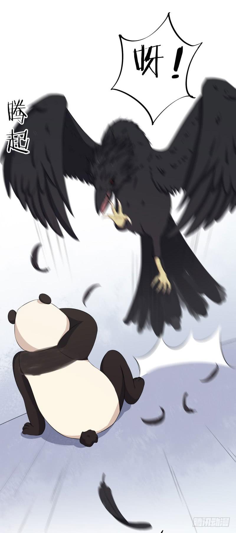 039黑眼圈不是坏妖怪（七）42