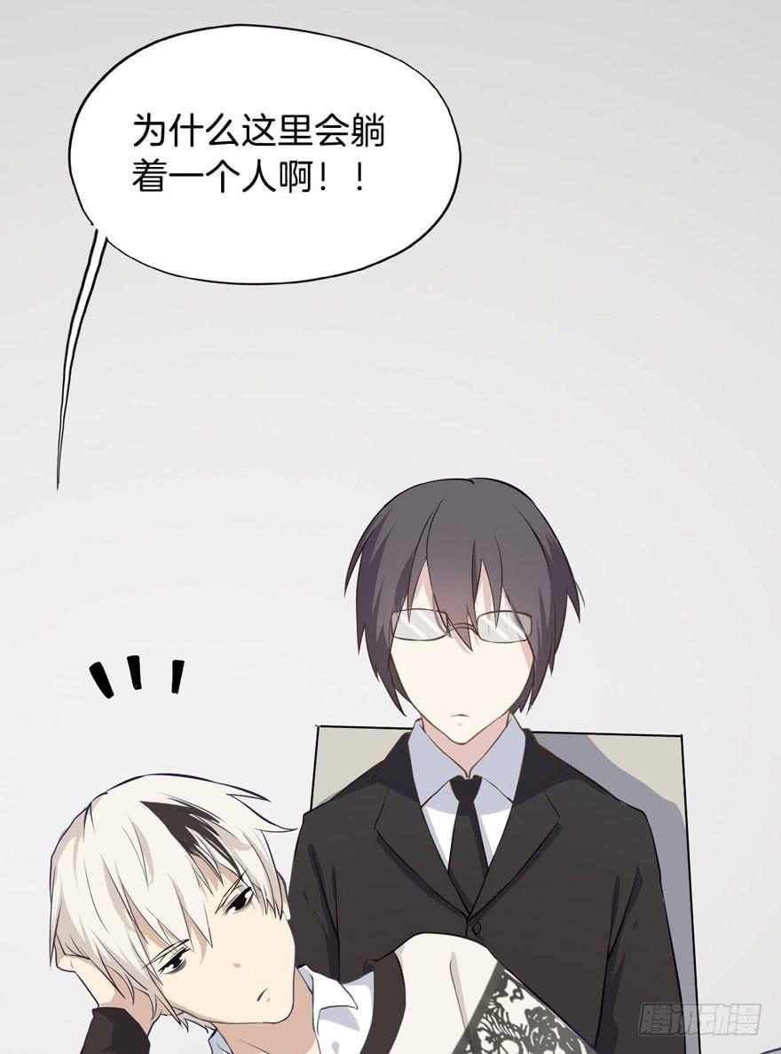 002 茕茕白兔33
